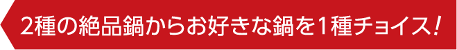 2種の絶品鍋からお好きな鍋を1種チョイス！